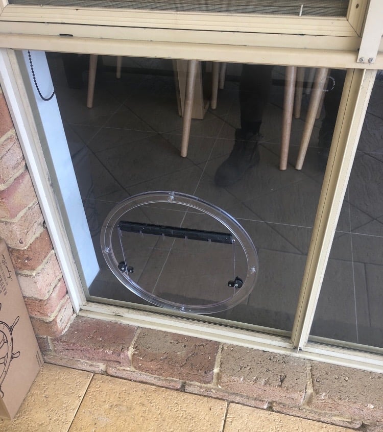 Pet door fitted into a glass door panel