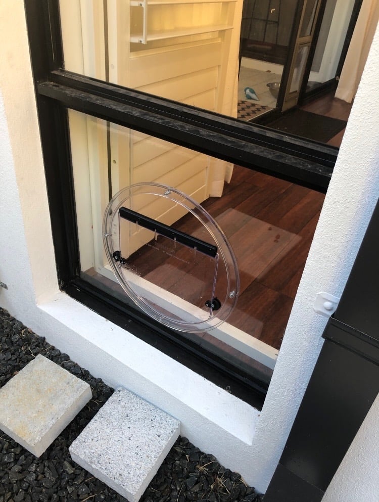 Glass pet door installed in a window panel