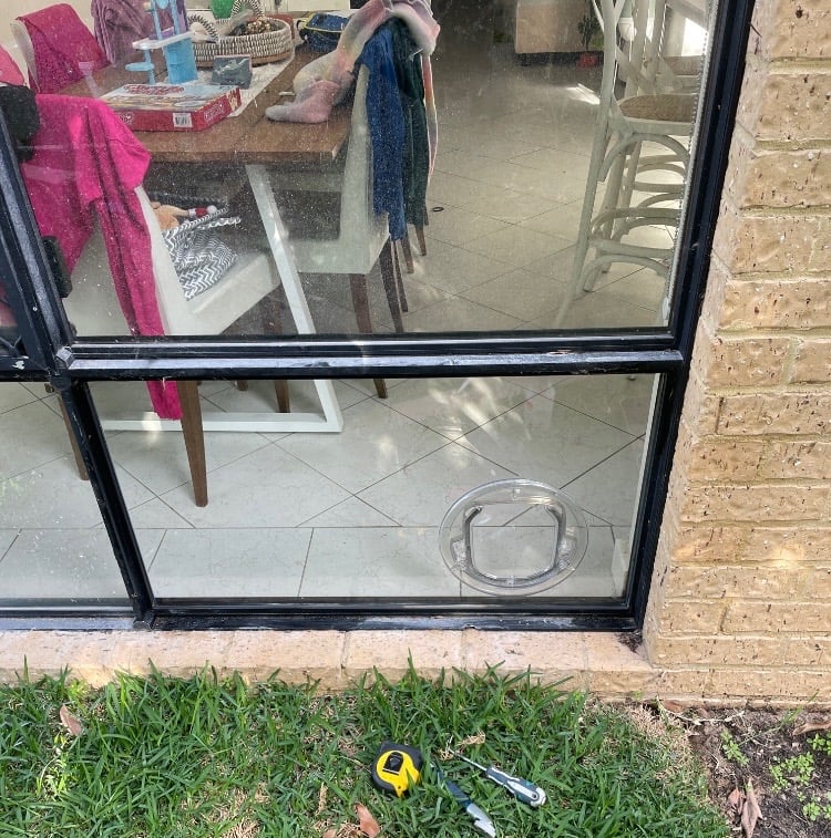 Pet door installed in a black-framed glass door