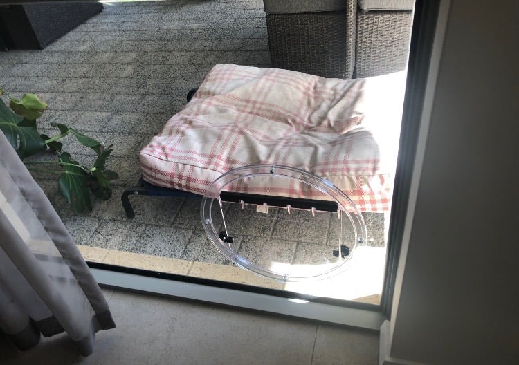 Pet door installed in a low glass panel